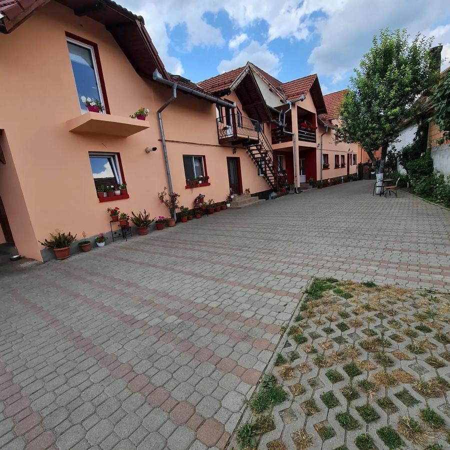 Vila Vladut Zărneşti Εξωτερικό φωτογραφία