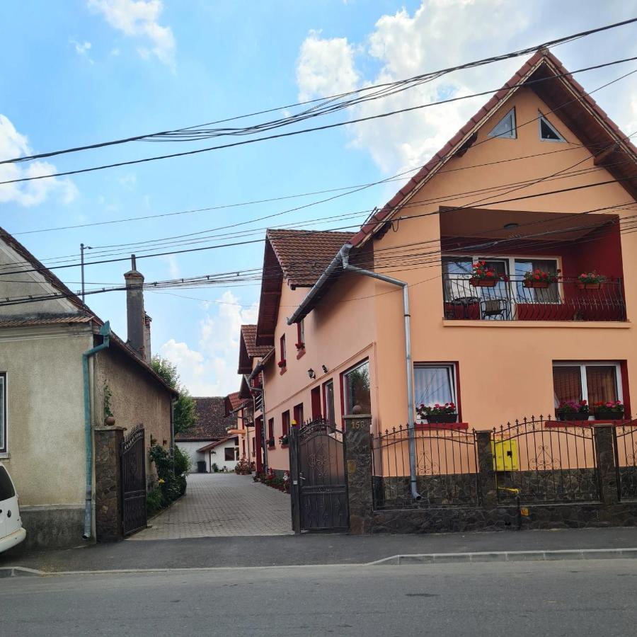 Vila Vladut Zărneşti Εξωτερικό φωτογραφία