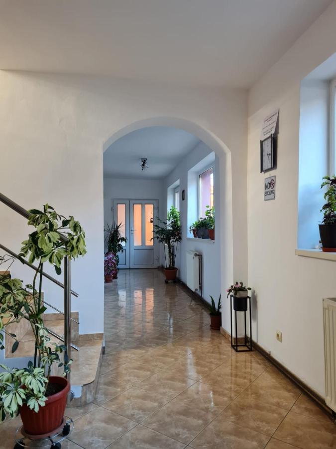 Vila Vladut Zărneşti Εξωτερικό φωτογραφία