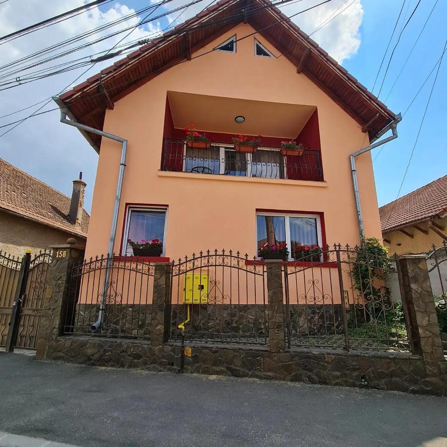 Vila Vladut Zărneşti Εξωτερικό φωτογραφία