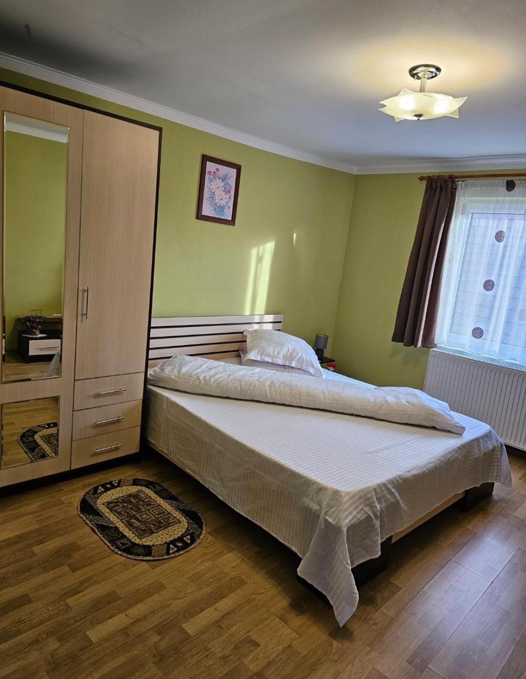 Vila Vladut Zărneşti Εξωτερικό φωτογραφία