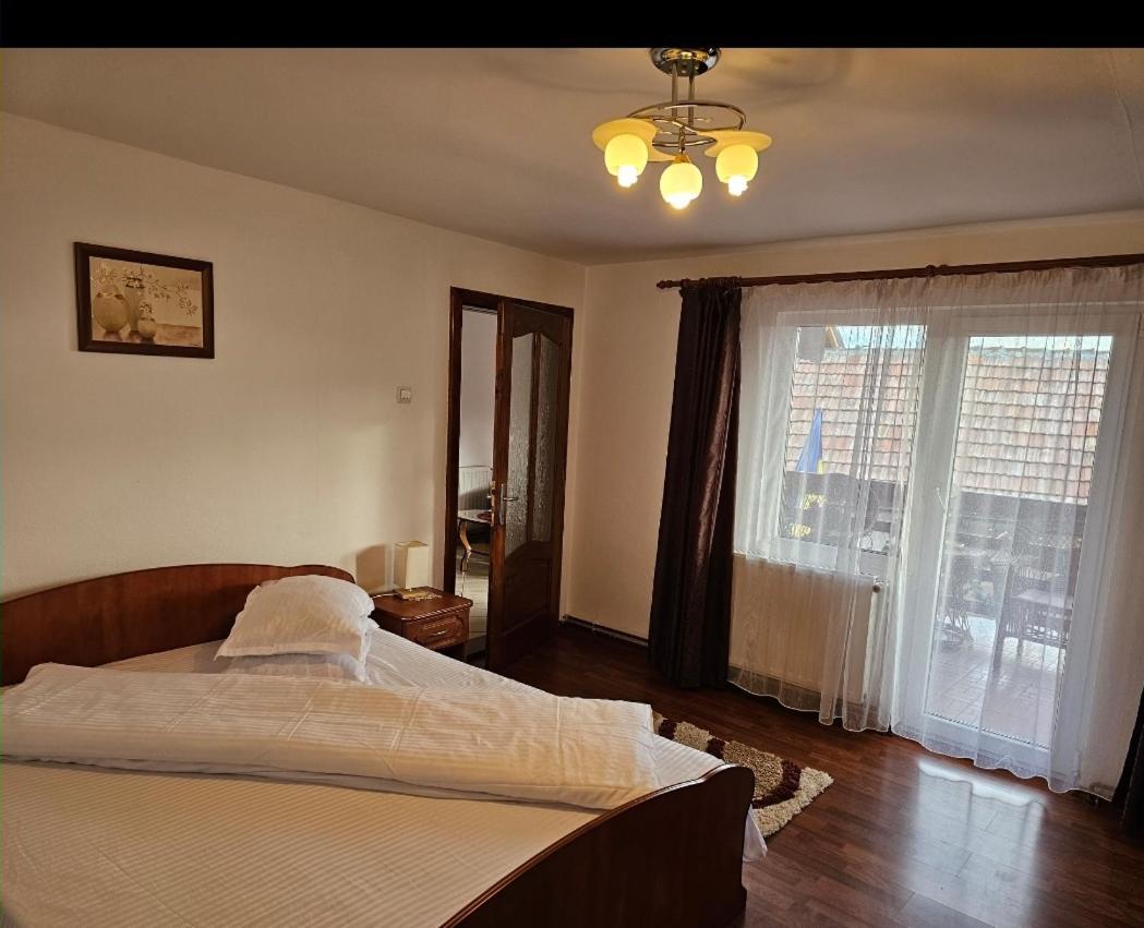 Vila Vladut Zărneşti Εξωτερικό φωτογραφία