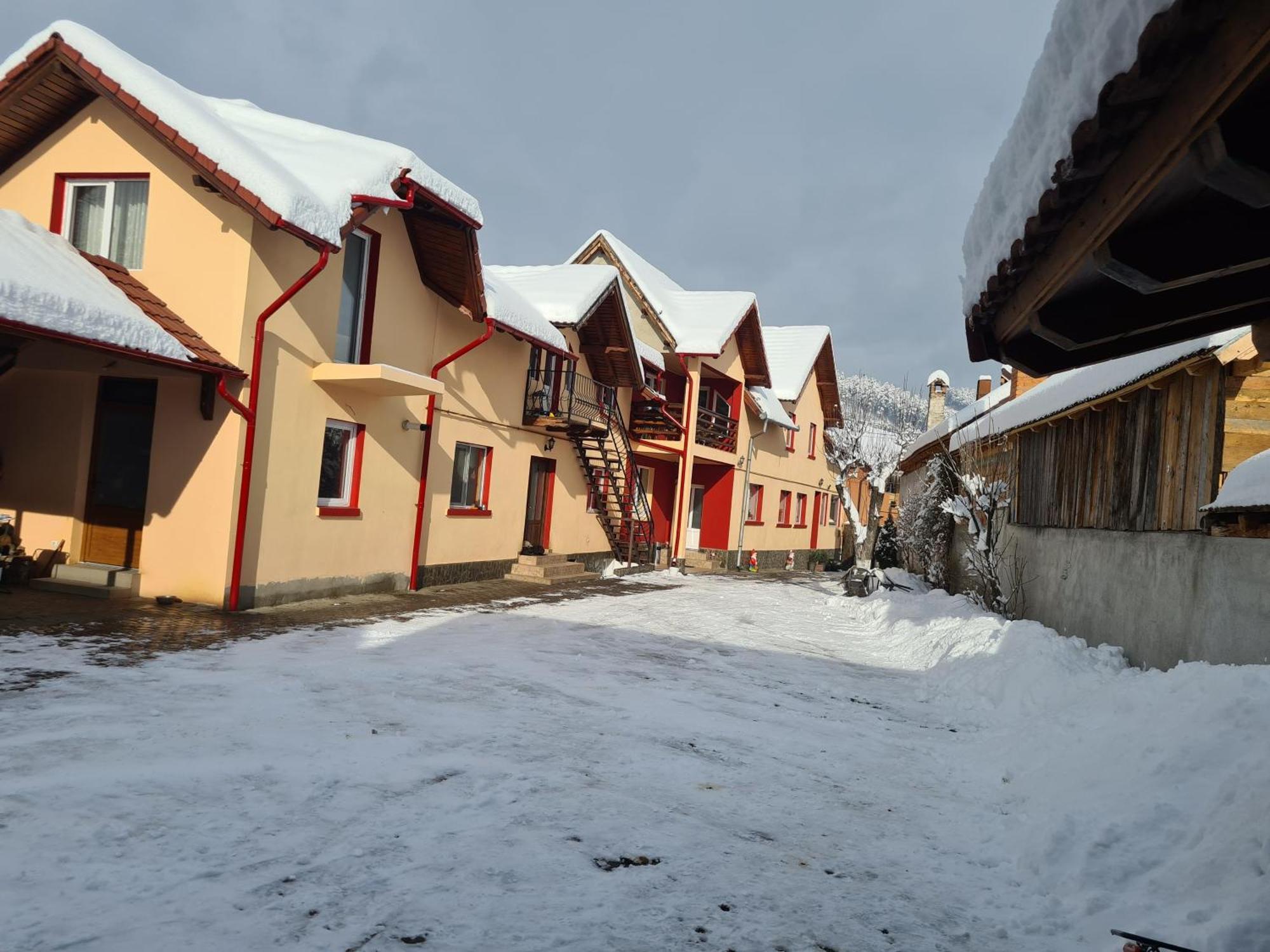 Vila Vladut Zărneşti Εξωτερικό φωτογραφία