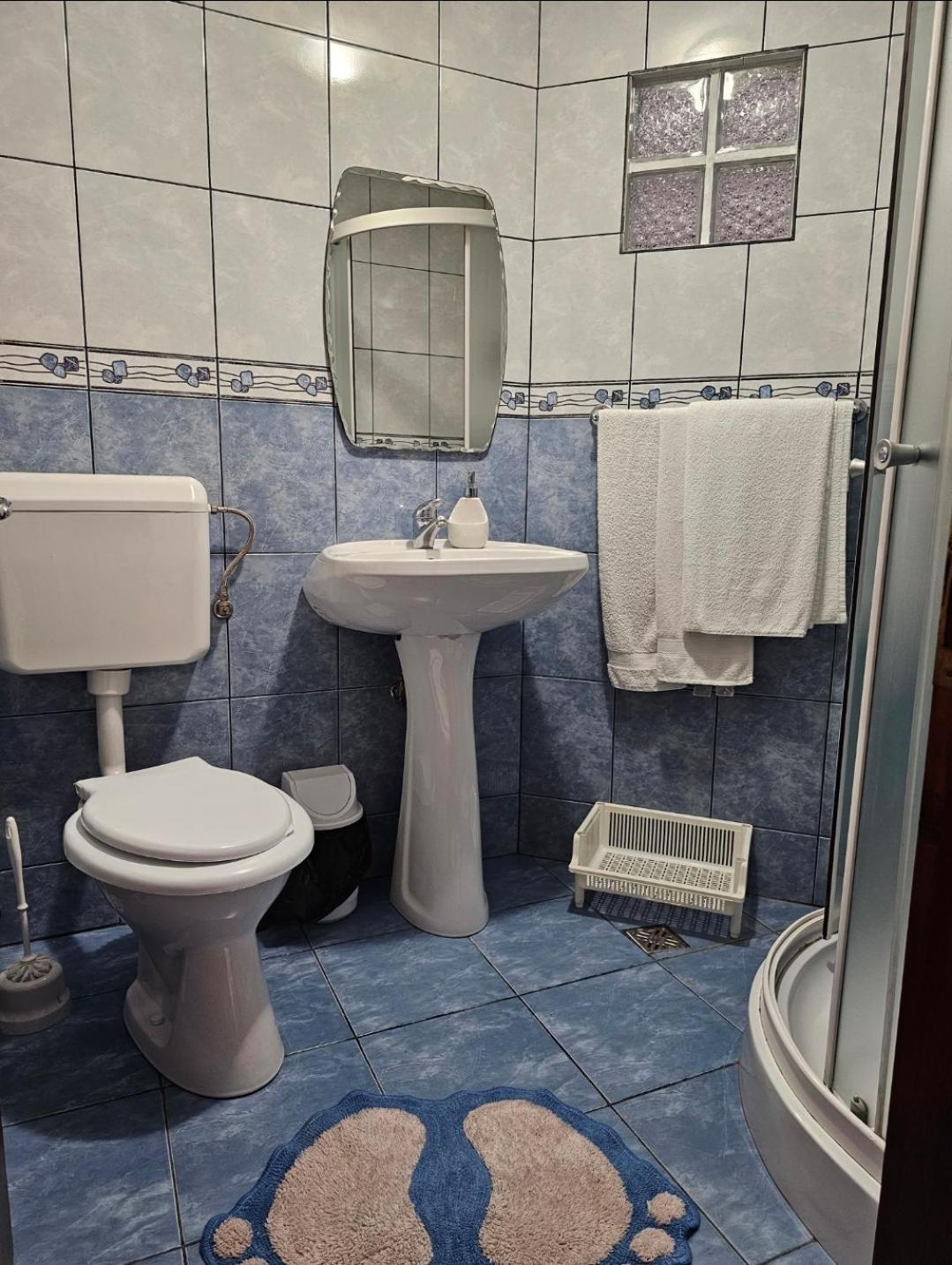 Vila Vladut Zărneşti Εξωτερικό φωτογραφία