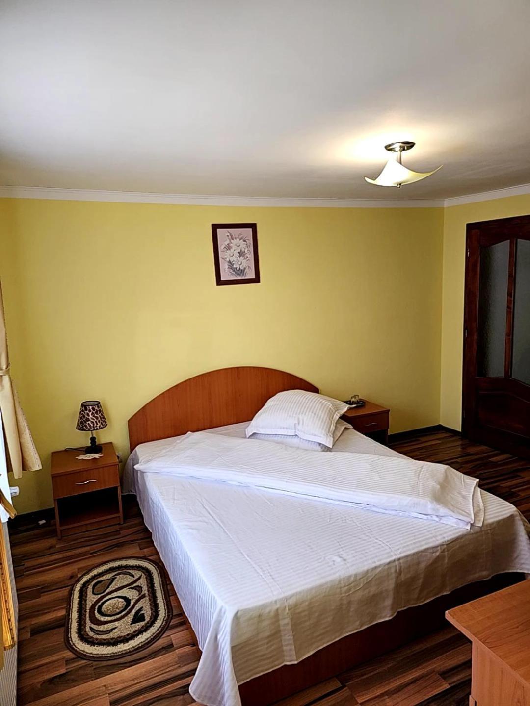Vila Vladut Zărneşti Εξωτερικό φωτογραφία