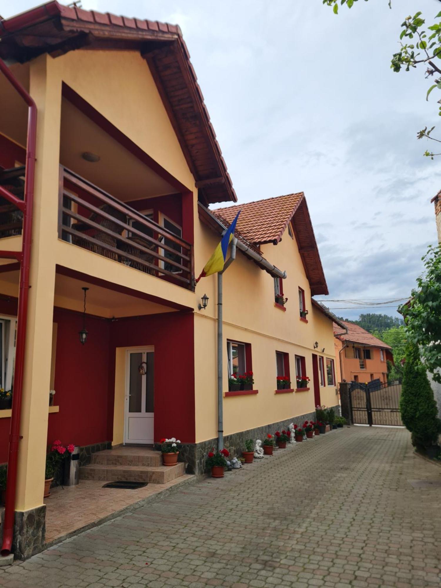 Vila Vladut Zărneşti Εξωτερικό φωτογραφία